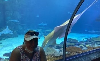 Shark Reef Aquarium at Mandalay Bay