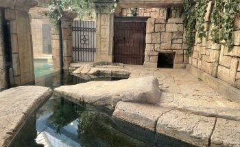 Shark Reef Aquarium at Mandalay Bay