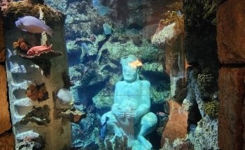 Shark Reef Aquarium at Mandalay Bay