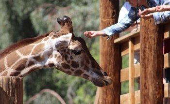 Wildlife World Zoo, Aquarium & Safari Park