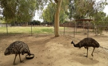 Wildlife World Zoo, Aquarium & Safari Park