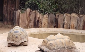 Wildlife World Zoo, Aquarium & Safari Park