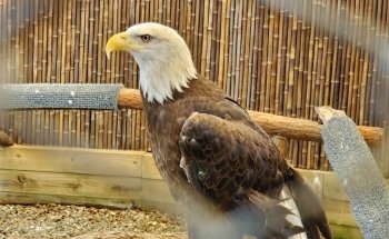 North Carolina Aquarium at Fort Fisher