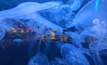 North Carolina Aquarium at Fort Fisher