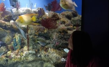 North Carolina Aquarium at Fort Fisher