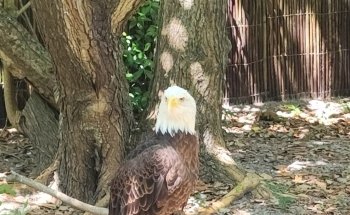 North Carolina Aquarium at Fort Fisher