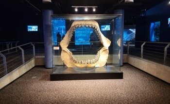 North Carolina Aquarium at Fort Fisher