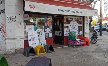 Dog Point