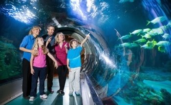 SEA LIFE Orlando Aquarium