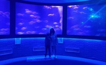 SEA LIFE Orlando Aquarium