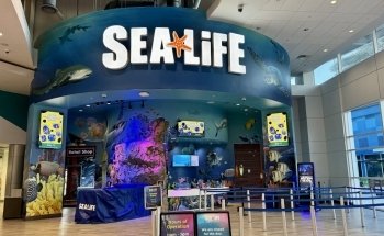 SEA LIFE Orlando Aquarium