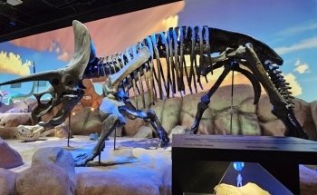 Greensboro Science Center