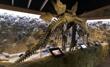 Greensboro Science Center