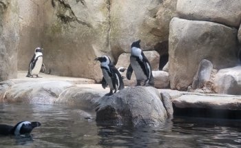 Greensboro Science Center