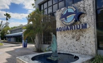 Mote Marine Laboratory & Aquarium