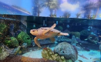 Oklahoma Aquarium