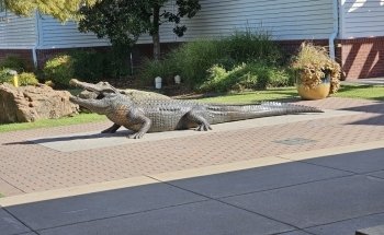 Oklahoma Aquarium
