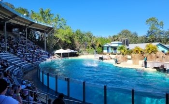 Dolphin Theater