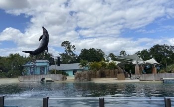 Dolphin Theater