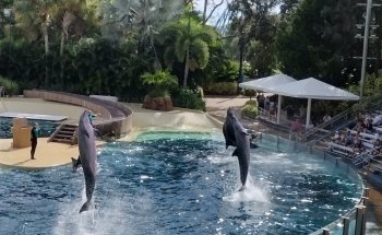 Dolphin Theater