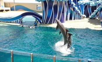 Teatro de Delfines