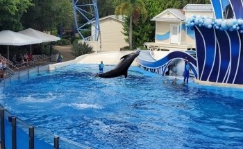 Dolphin Theater