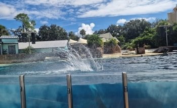 Dolphin Theater