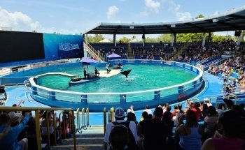 Miami Seaquarium