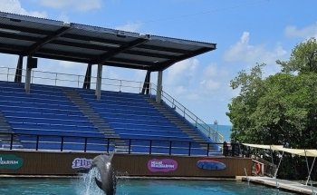 Miami Seaquarium