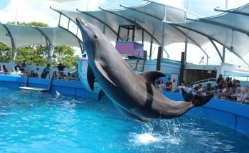 Miami Seaquarium