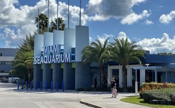 Miami Seaquarium