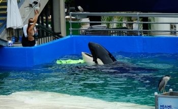Miami Seaquarium
