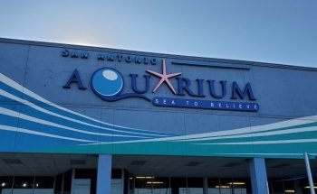 San Antonio Aquarium
