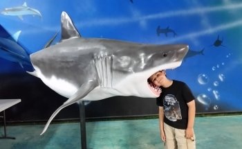 San Antonio Aquarium