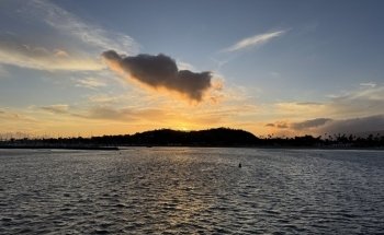 Stearns Wharf