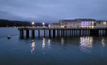 Stearns Wharf