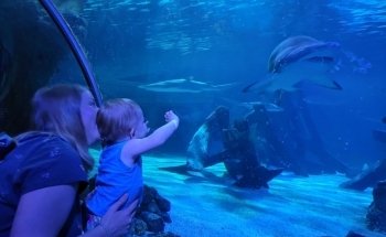 SEA LIFE at Mall of America
