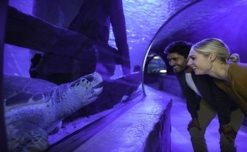 SEA LIFE at Mall of America