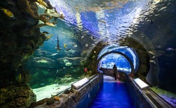 SEA LIFE at Mall of America
