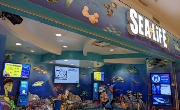 SEA LIFE at Mall of America