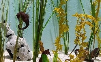 North Carolina Aquarium on Roanoke Island