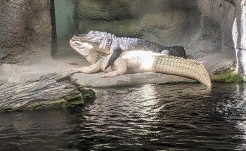 North Carolina Aquarium on Roanoke Island
