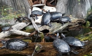 North Carolina Aquarium on Roanoke Island