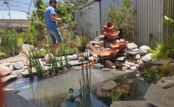 Vivero El Milagro