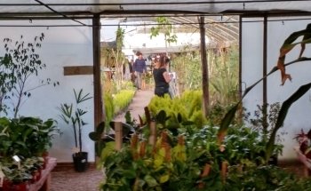 Vivero El Milagro