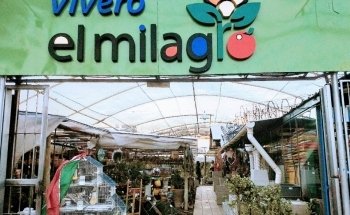 El Milagro Nursery