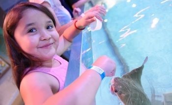 Layton Aquarium & Wildlife