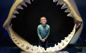 Layton Aquarium & Wildlife