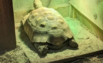 Layton Aquarium & Wildlife
