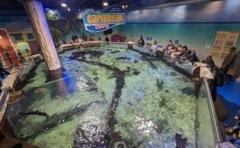 Layton Aquarium & Wildlife